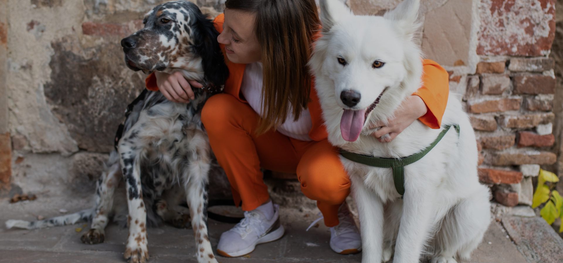 🐾 How Freesby Changes the Security Rules