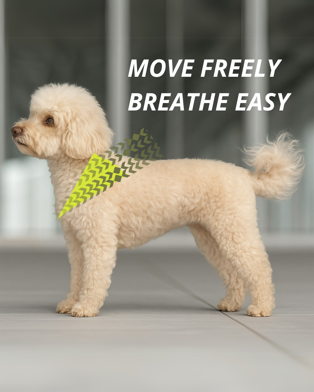 Freesby