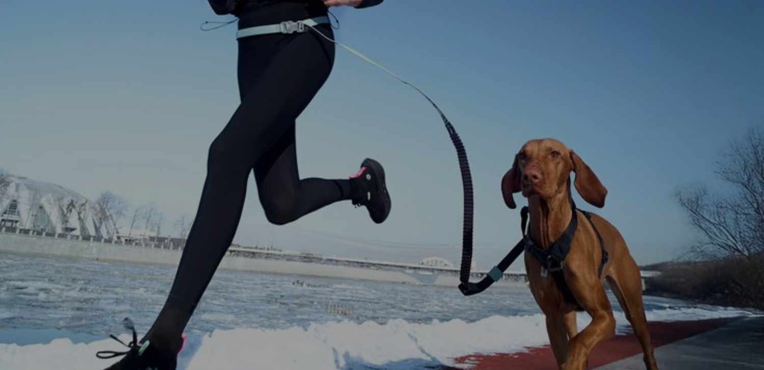 Senza titolo (1004 x 650 px) (1240 x 600 px).png